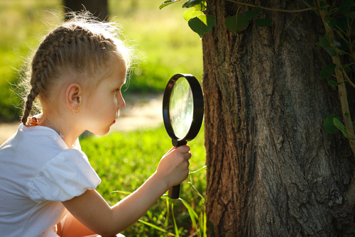 magnifying glass